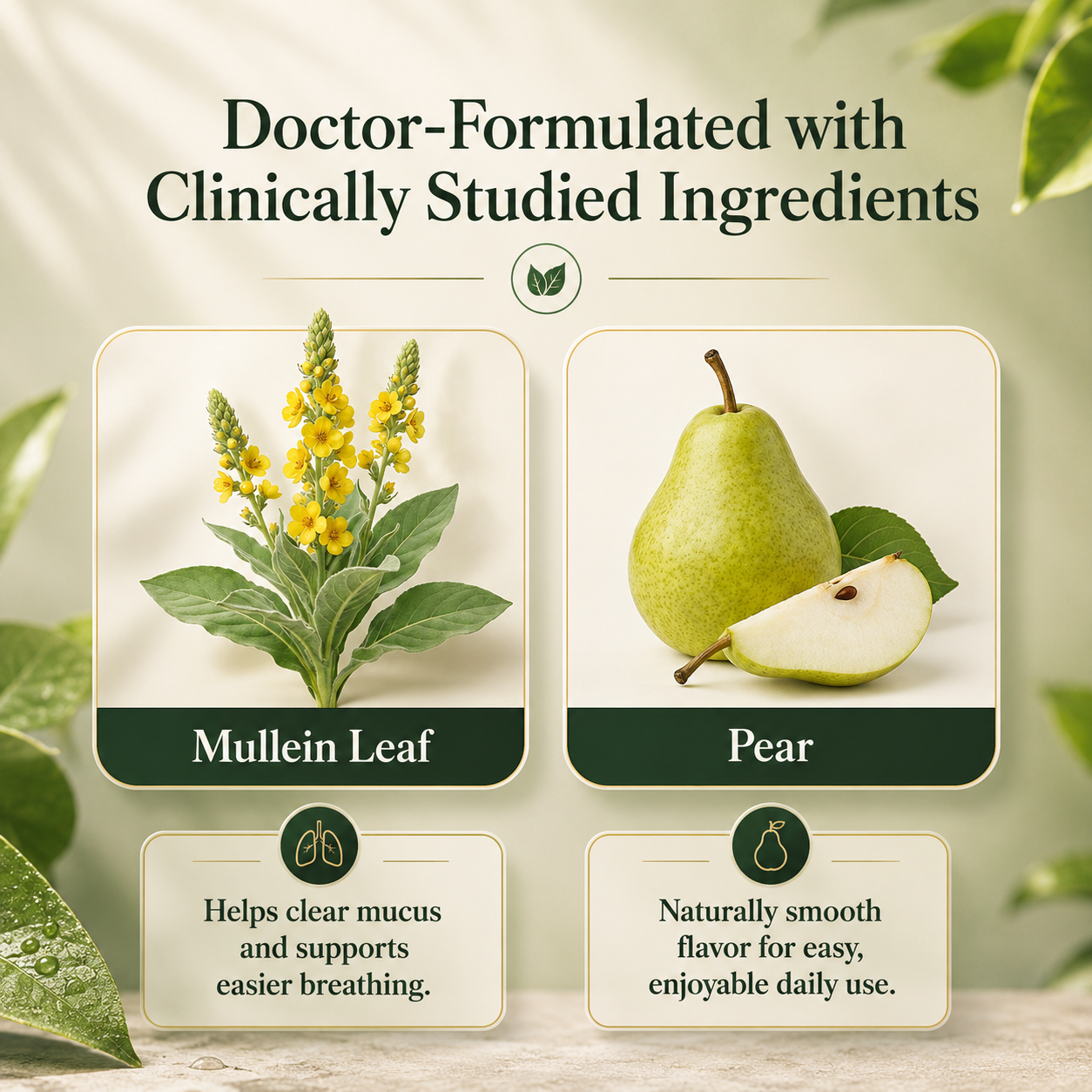 Mullein Gummies